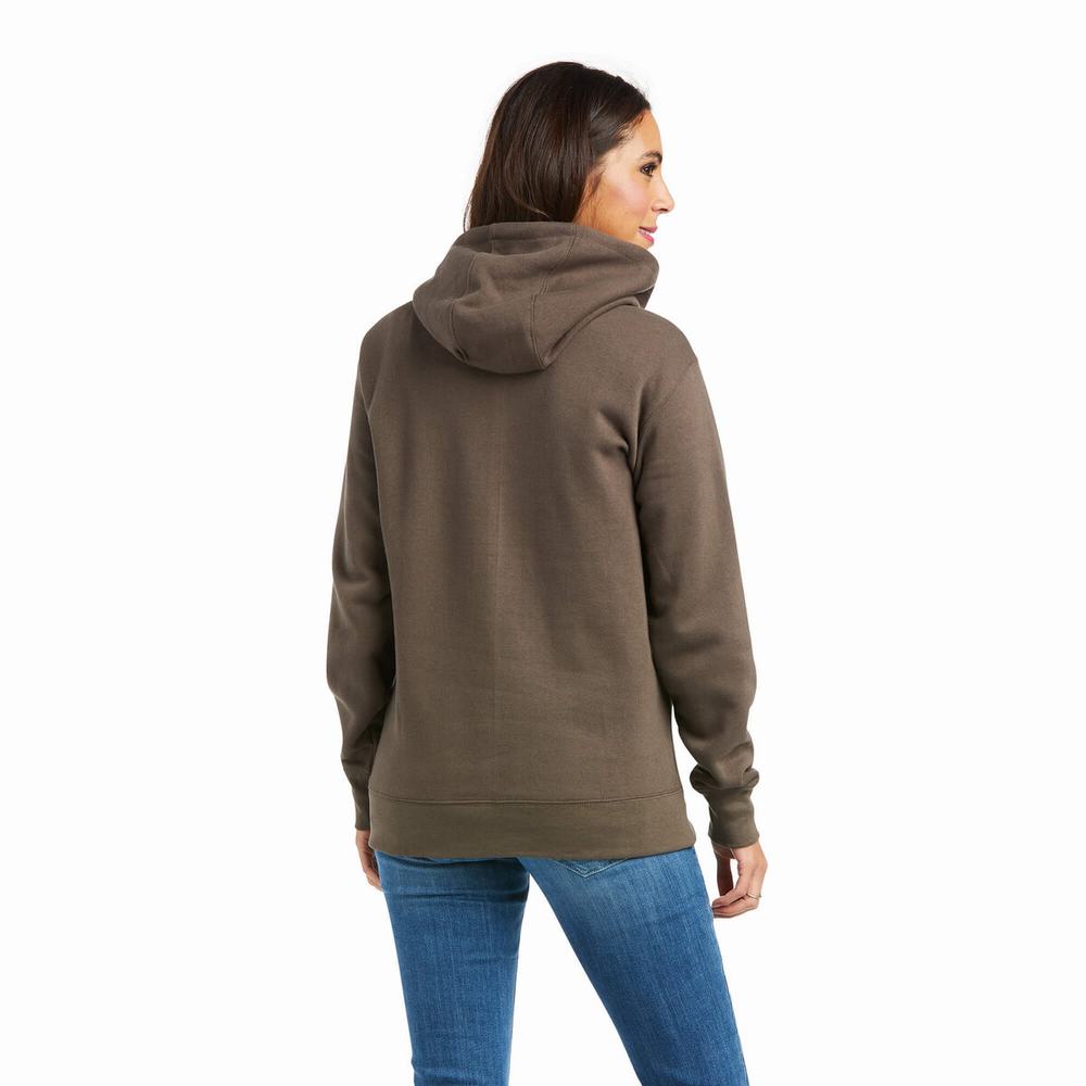 Ariat REAL Arm Logo Hoodie Dam Bruna | 158-UMPGOH