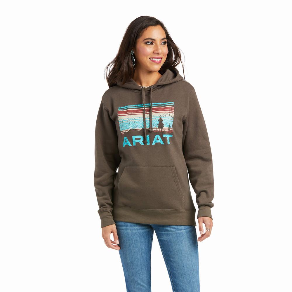 Ariat REAL Arm Logo Hoodie Dam Bruna | 158-UMPGOH