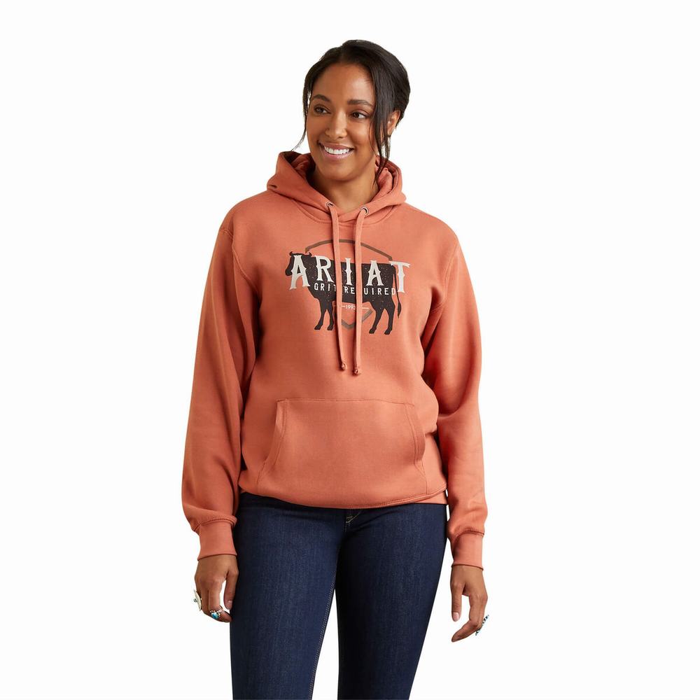 Ariat REAL Branded Logo Hoodie Dam Olika Färger | 956-BWKTZM