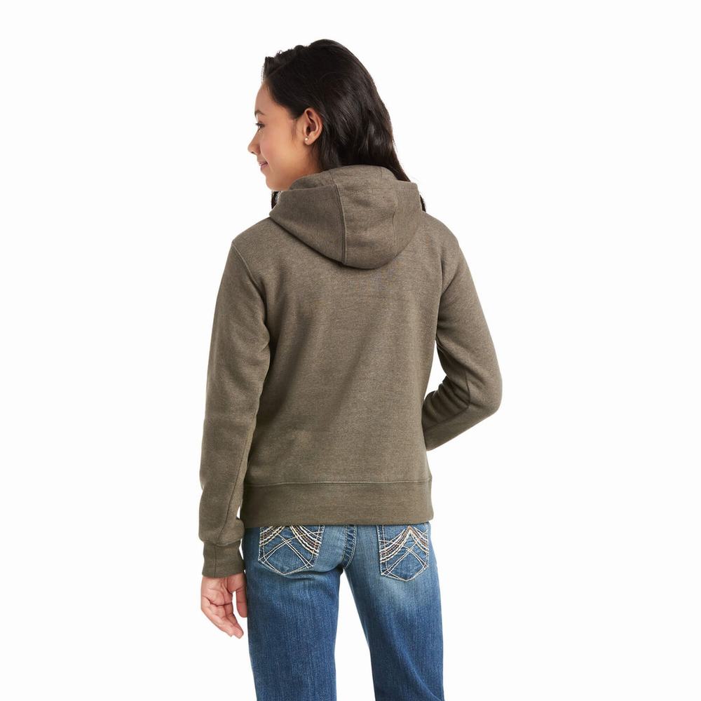 Ariat REAL Chest Logo Hoodie Barn Bruna | 619-TIDOHK