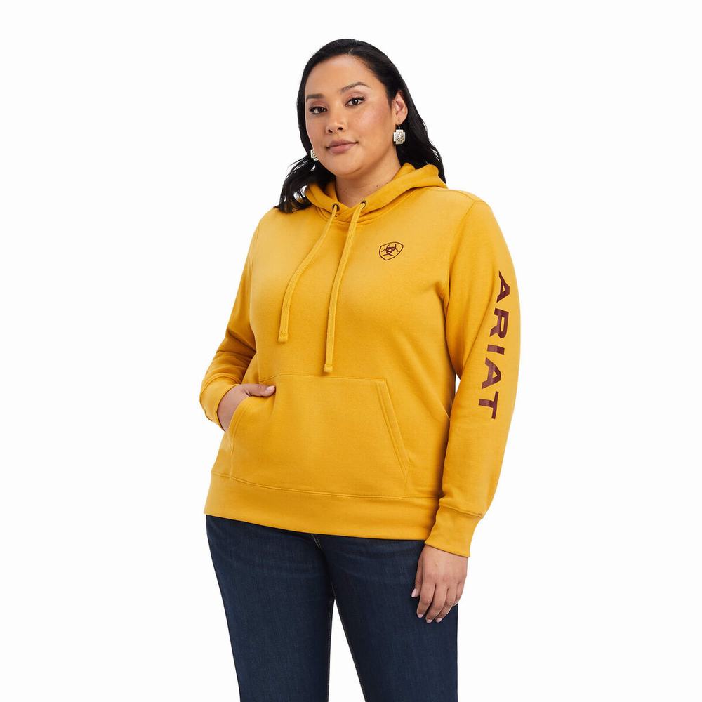 Ariat REAL Klassiska Arm Logo Hoodie Dam Guld | 671-BKSOWF