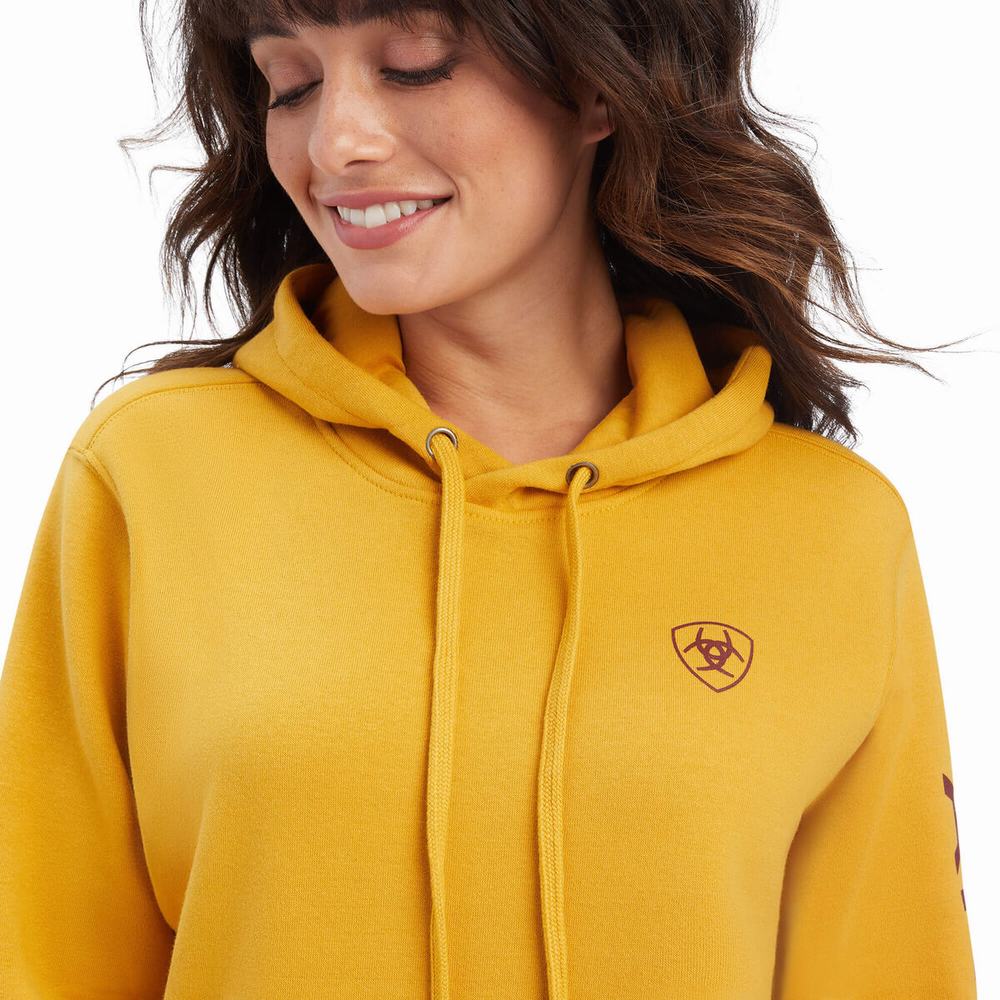 Ariat REAL Klassiska Arm Logo Hoodie Dam Guld | 671-BKSOWF