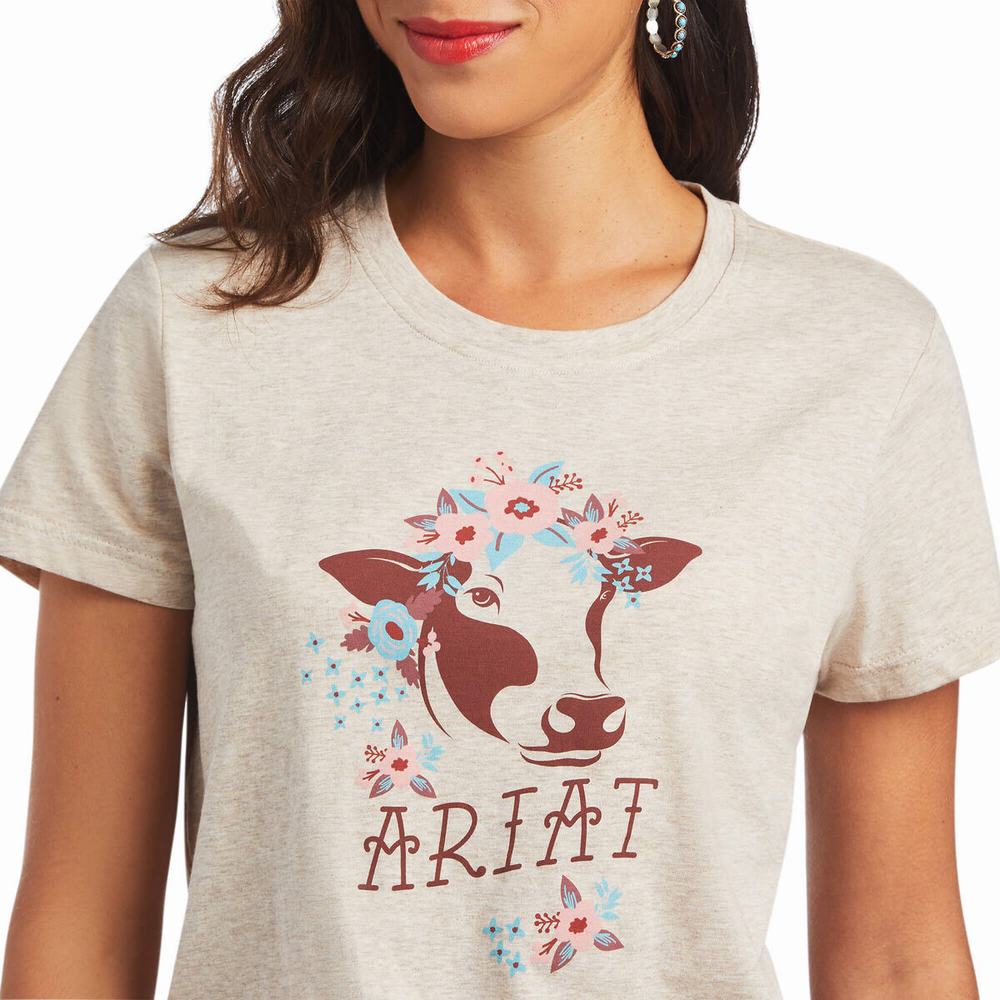 Ariat REAL Moo Blast Dam Bruna | 623-QBOGAY