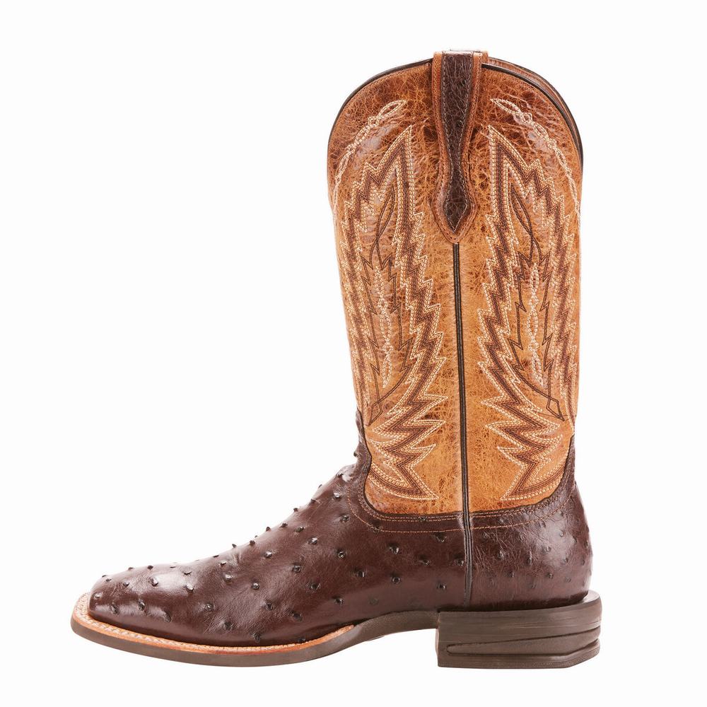 Ariat Relentless Platinum Western Stövlar Herr Olika Färger | 176-WDLVJT