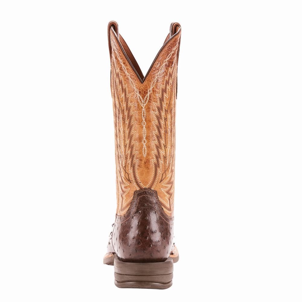 Ariat Relentless Platinum Western Stövlar Herr Olika Färger | 176-WDLVJT