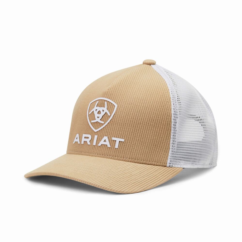 Ariat Shield Logo Hatt Herr Bruna | 316-QNATOG