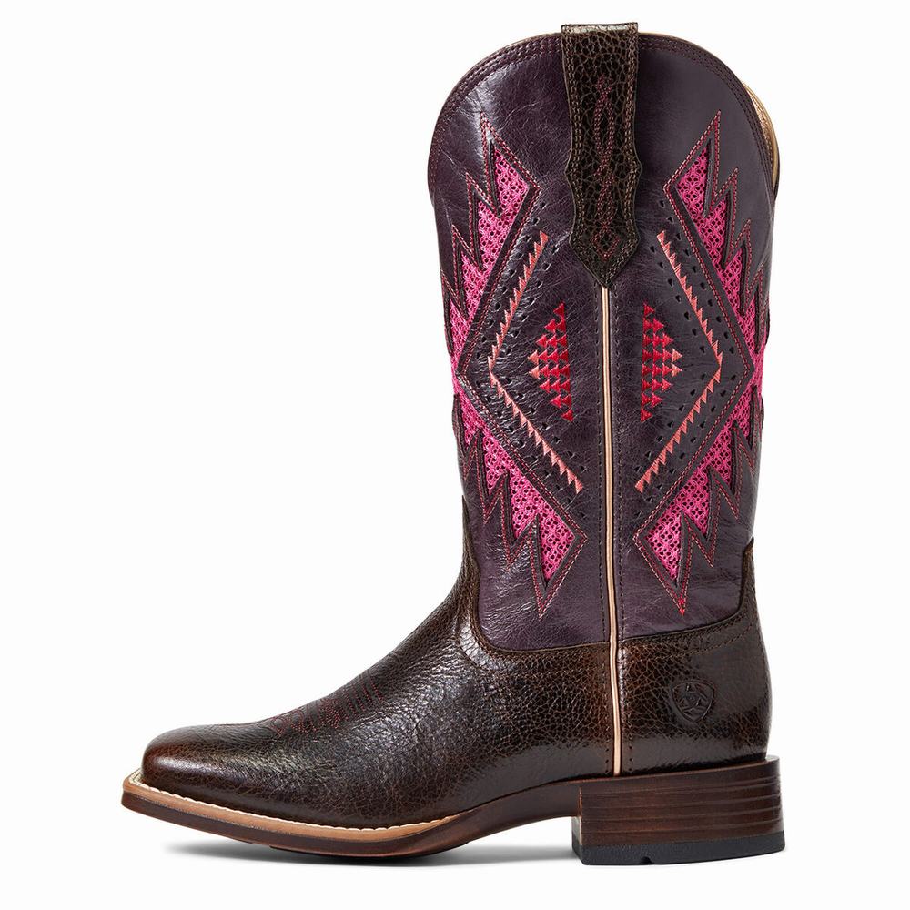 Ariat Sienna VentTek 360 Western Stövlar Dam Choklad | 374-KBRVJW