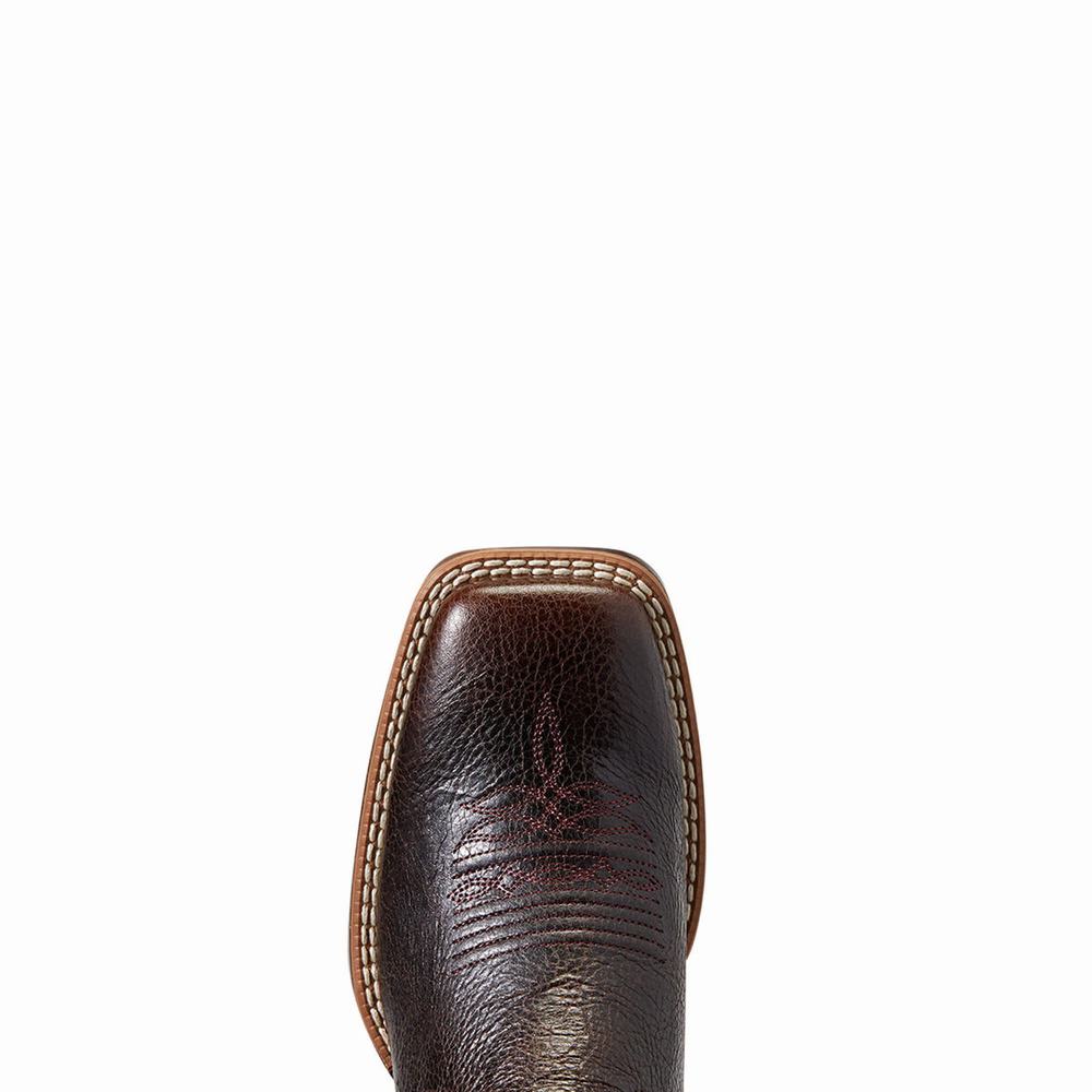 Ariat Sienna VentTek 360 Western Stövlar Dam Choklad | 374-KBRVJW