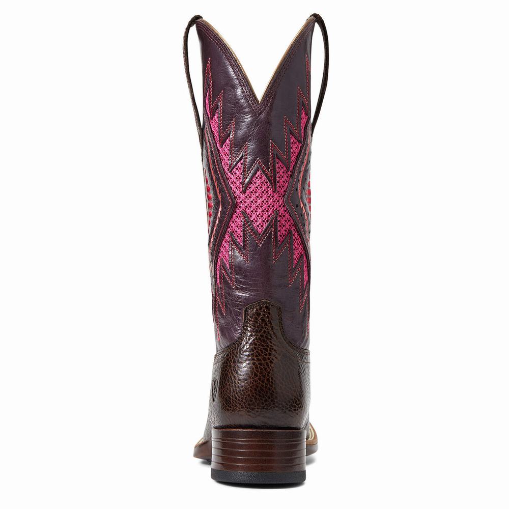 Ariat Sienna VentTek 360 Western Stövlar Dam Choklad | 374-KBRVJW