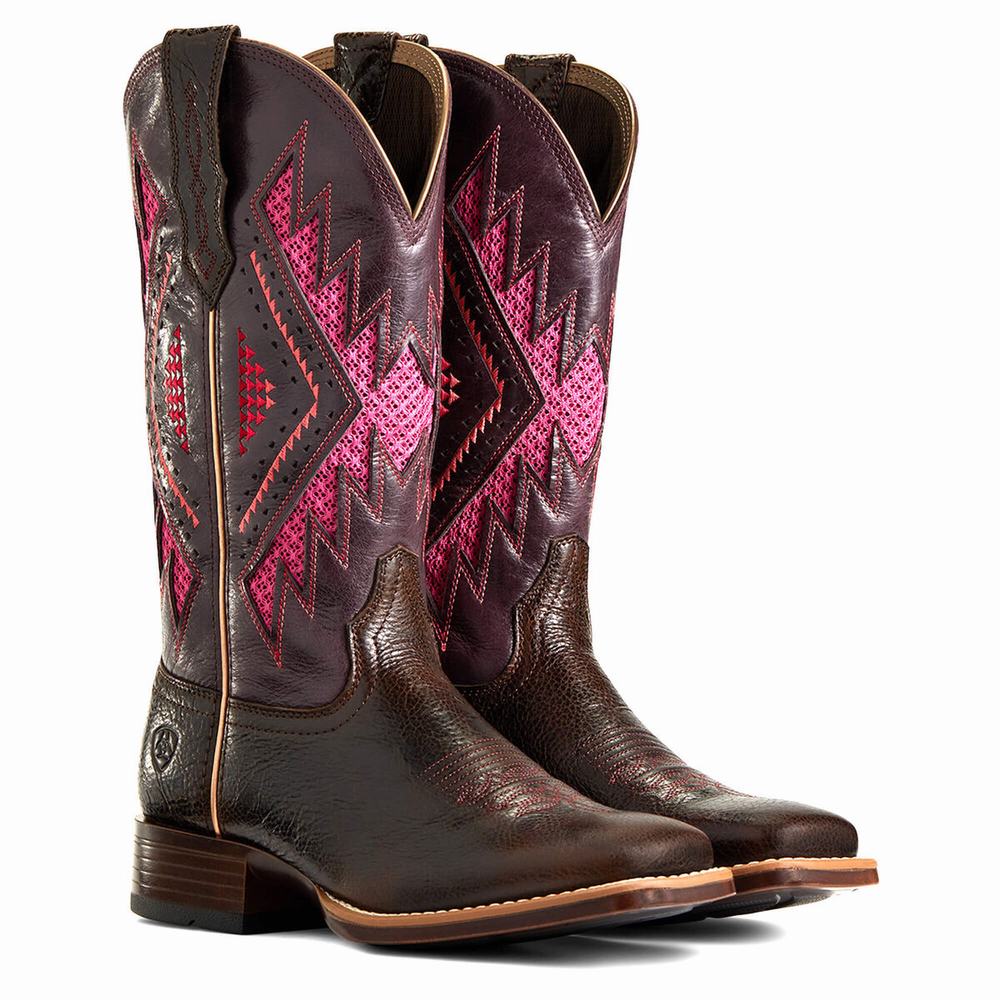 Ariat Sienna VentTek 360 Western Stövlar Dam Choklad | 374-KBRVJW