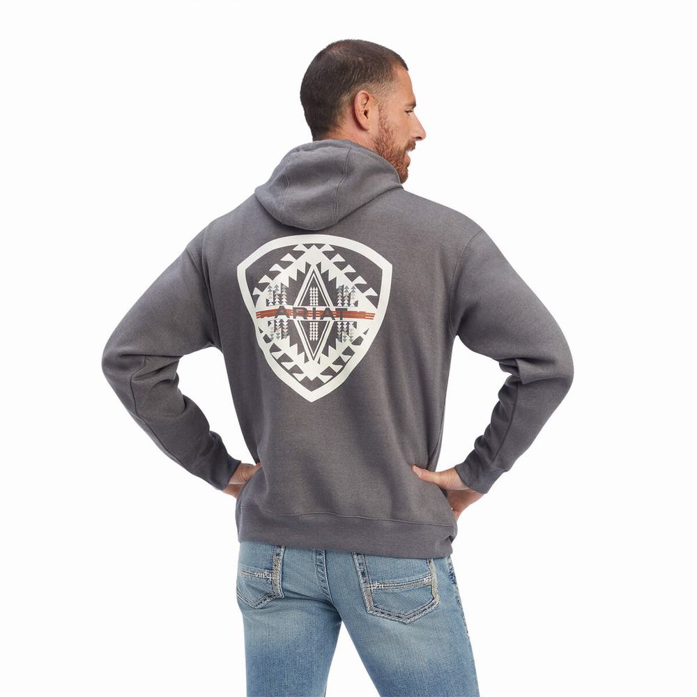 Ariat Southwest Shield Hoodie Herr Grå | 721-XSTMNU