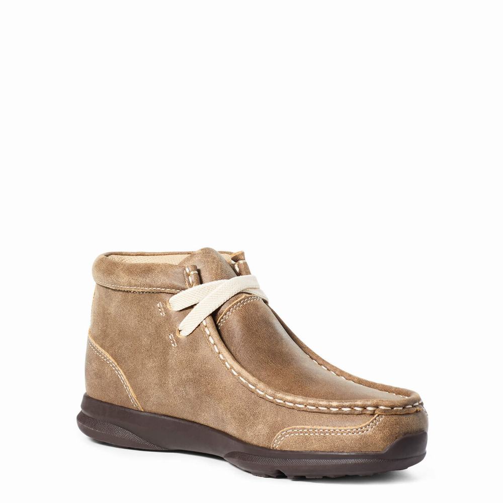 Ariat Spitfire Casual Skor Barn Bruna | 317-PTIUHF