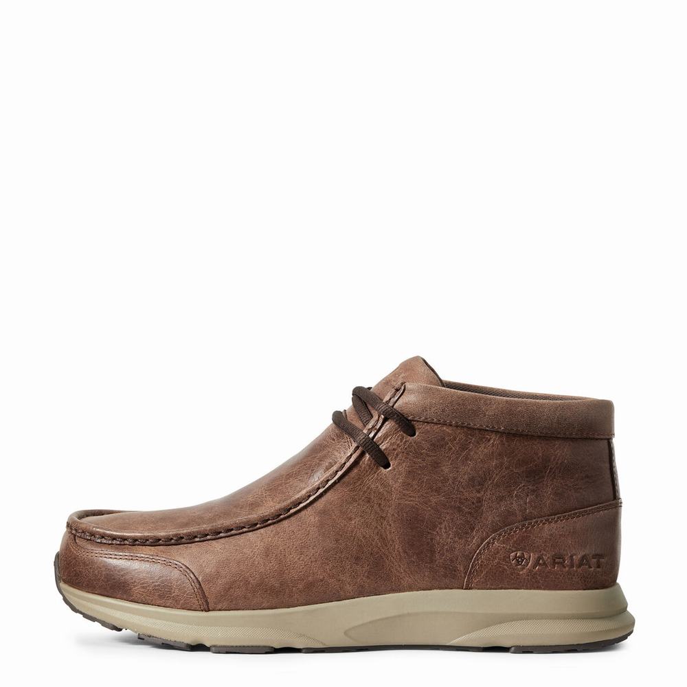 Ariat Spitfire Sneakers Herr Bruna | 269-JCERTA