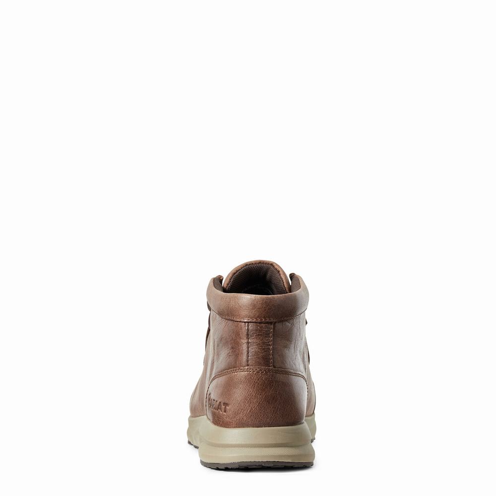 Ariat Spitfire Sneakers Herr Bruna | 269-JCERTA