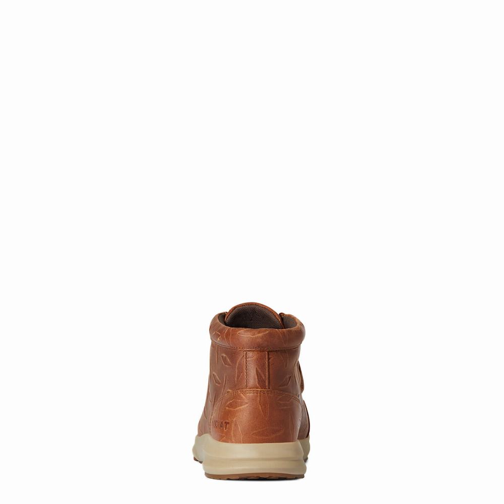 Ariat Spitfire Sneakers Herr Bruna | 734-YFXEWL