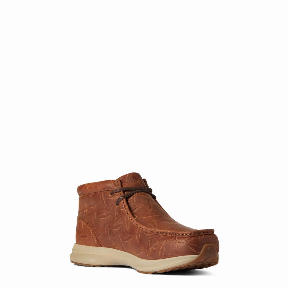 Ariat Spitfire Sneakers Herr Bruna | 734-YFXEWL