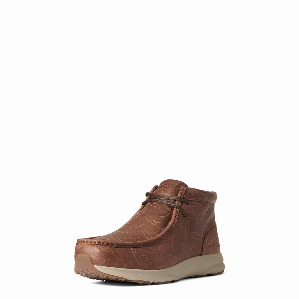 Ariat Spitfire Sneakers Herr Bruna | 734-YFXEWL