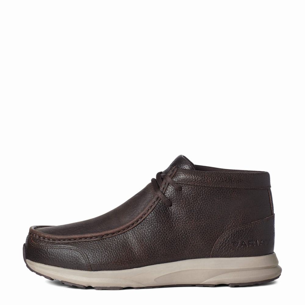 Ariat Spitfire Sneakers Herr Bruna | 805-WOAIJT