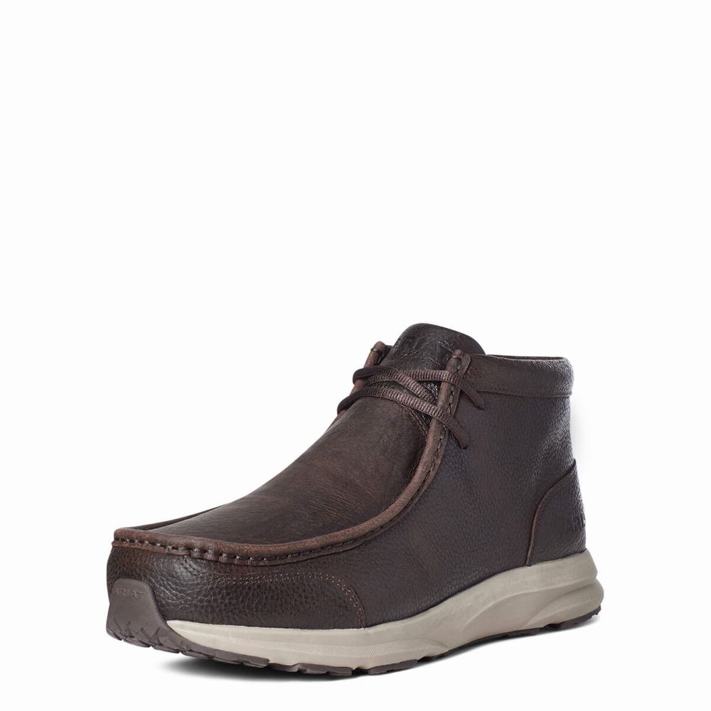 Ariat Spitfire Sneakers Herr Bruna | 805-WOAIJT