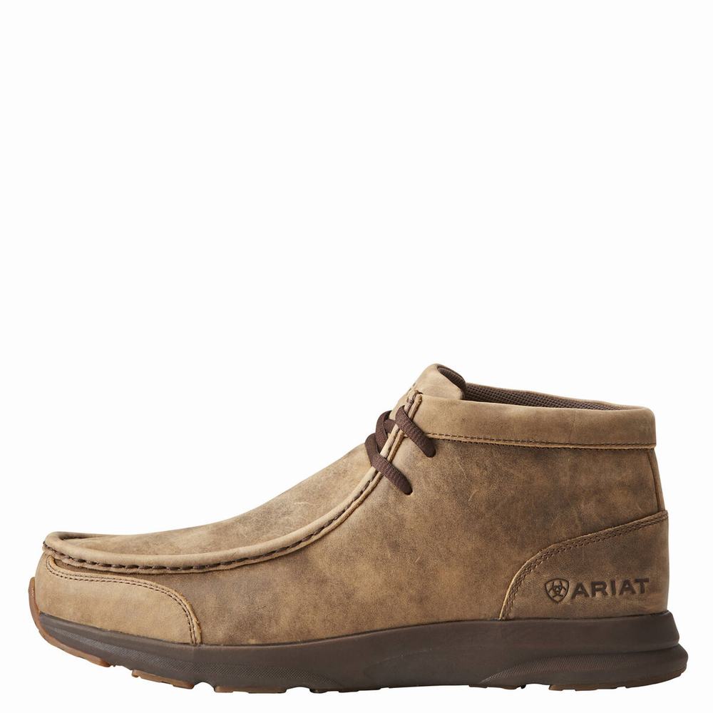 Ariat Spitfire Sneakers Herr Bruna | 942-KJYUHQ