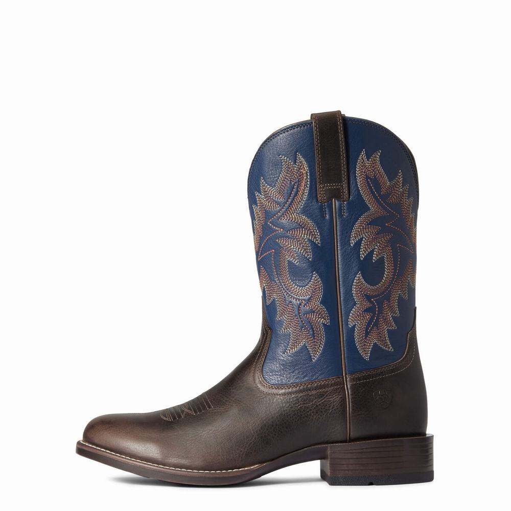 Ariat Stockman Ultra Western Stövlar Herr Olika Färger | 137-KGWETQ