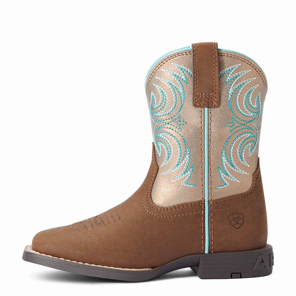 Ariat Storm Western Stövlar Barn Olika Färger | 967-TENWKD