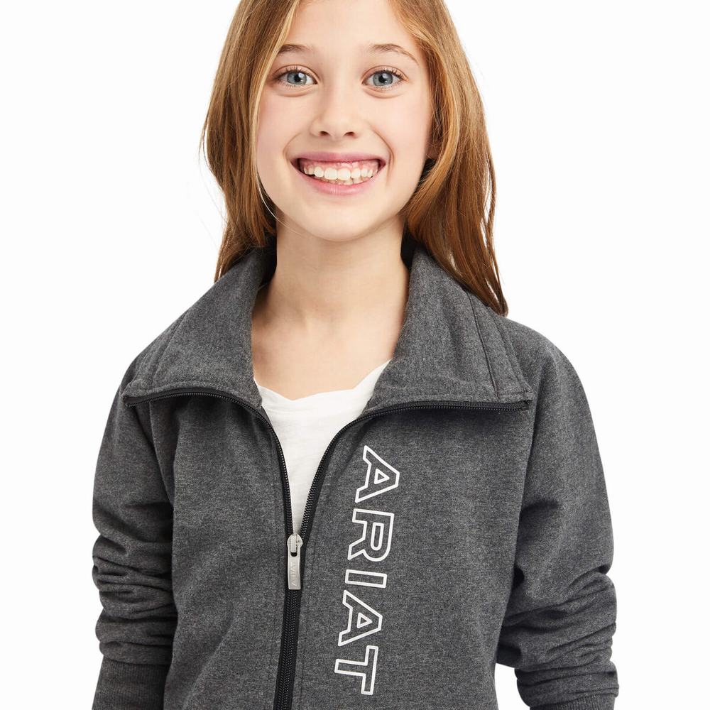 Ariat Team Logo Full Zip Hoodie Barn Grå | 973-FIAQTG