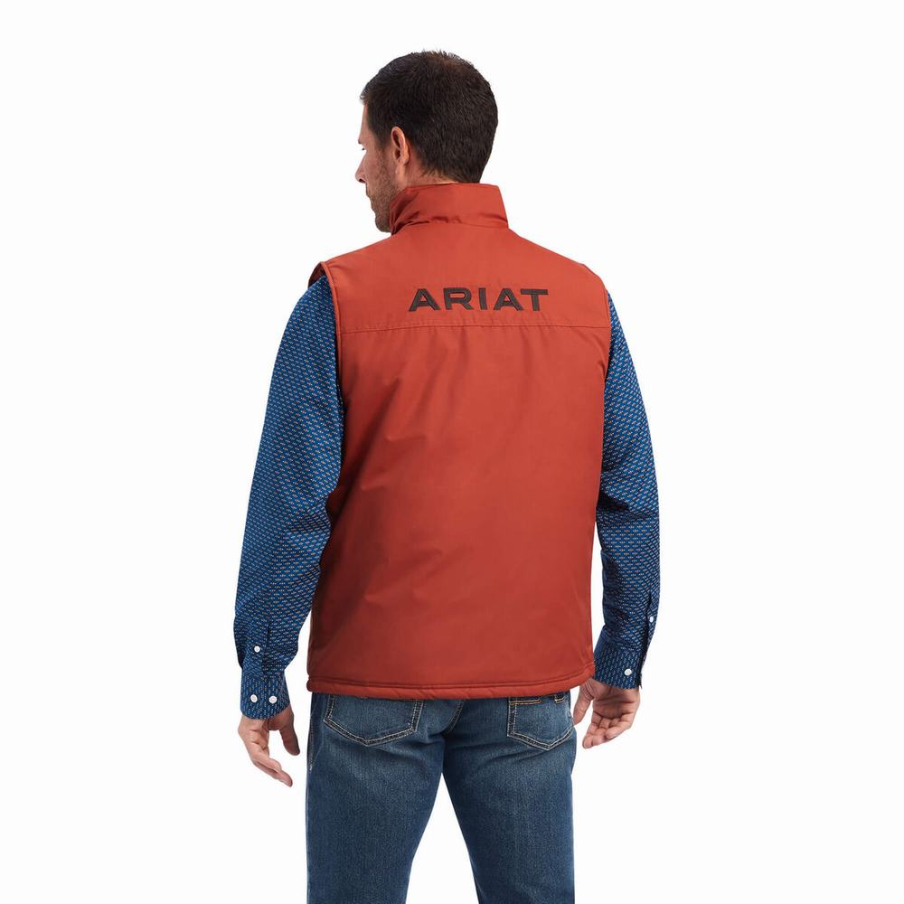 Ariat Team Logo Insulated Jacka Herr Bruna | 720-REODGJ