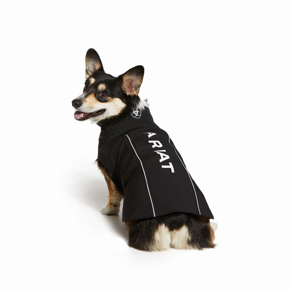 Ariat Team Softshell Dog Tillbehör Dam Svarta | 547-ZVMFOX