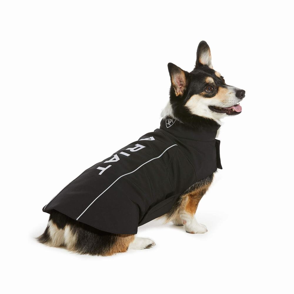 Ariat Team Softshell Dog Tillbehör Dam Svarta | 547-ZVMFOX