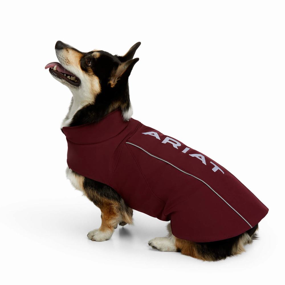 Ariat Team Softshell Dog Tillbehör Herr Vinröda | 183-WNKDQR