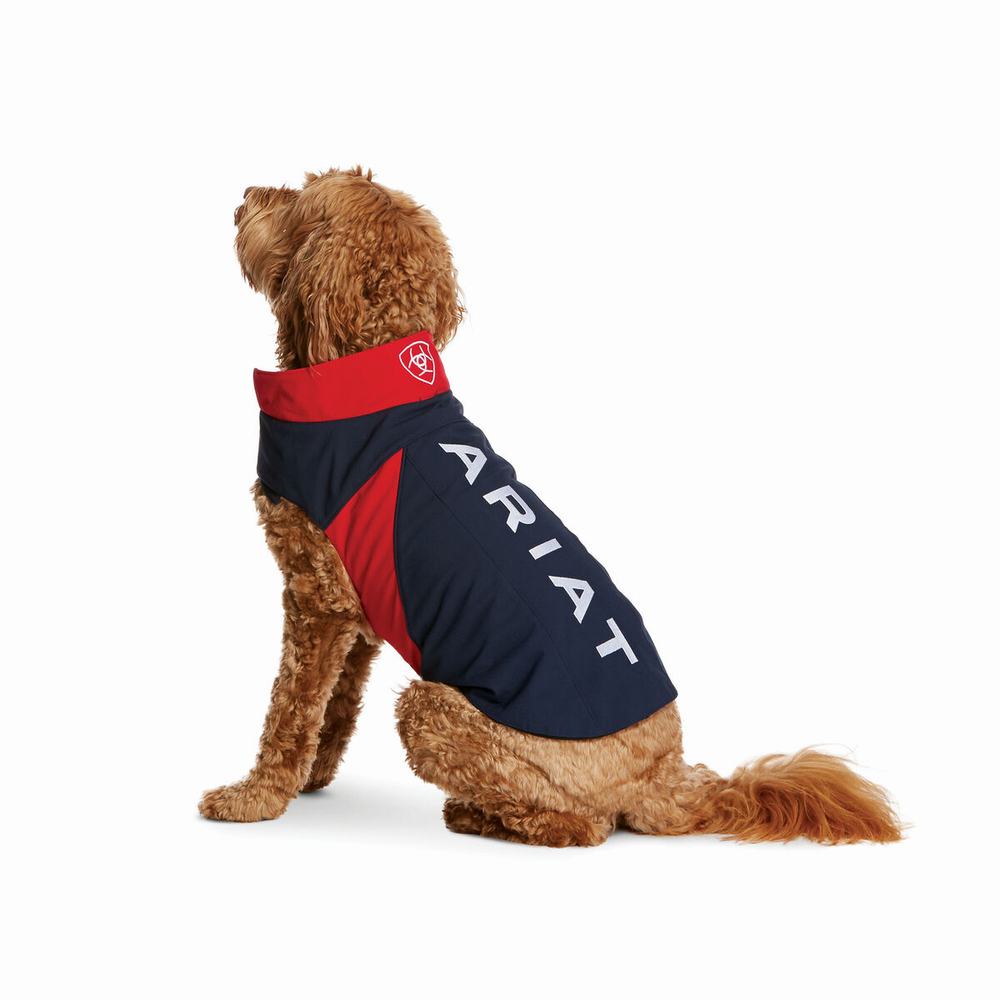 Ariat Team Softshell Dog Tillbehör Herr Olika Färger | 914-ATVFXZ