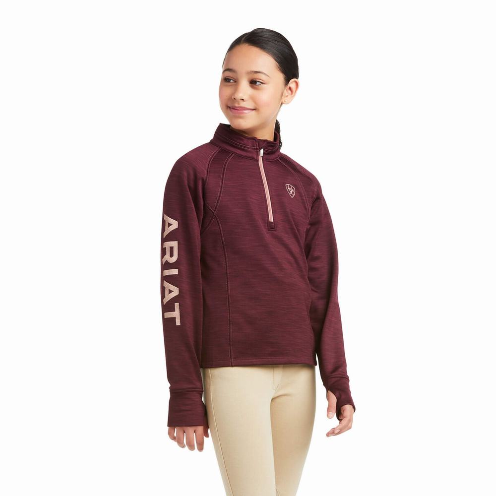 Ariat Tek Team 1/2 Zip Hoodie Barn Vinröda | 241-EWCASK