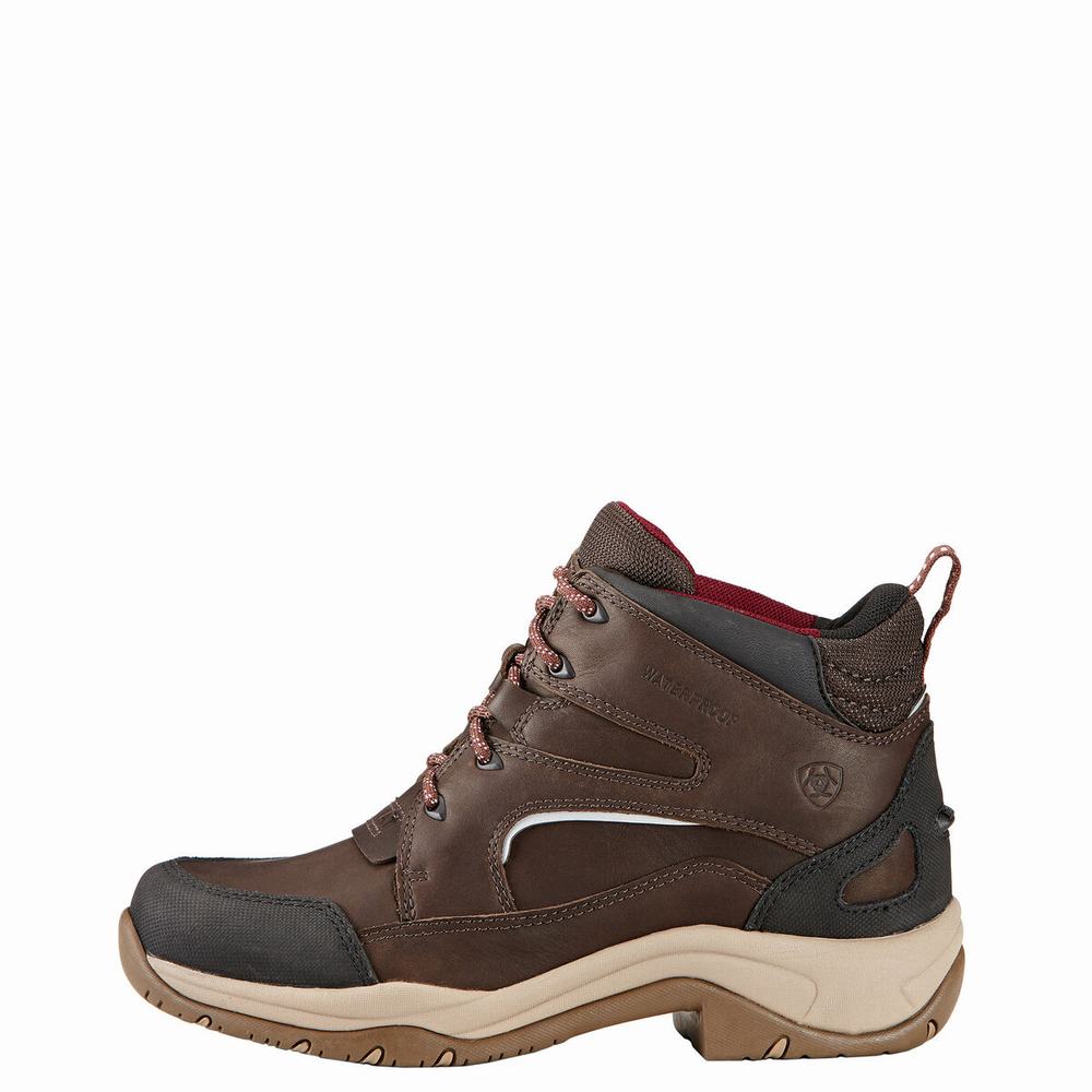 Ariat Telluride II H2O Ridstövlar Dam Bruna | 850-OFSQZR