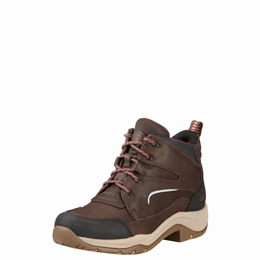 Ariat Telluride II H2O Ridstövlar Dam Bruna | 850-OFSQZR