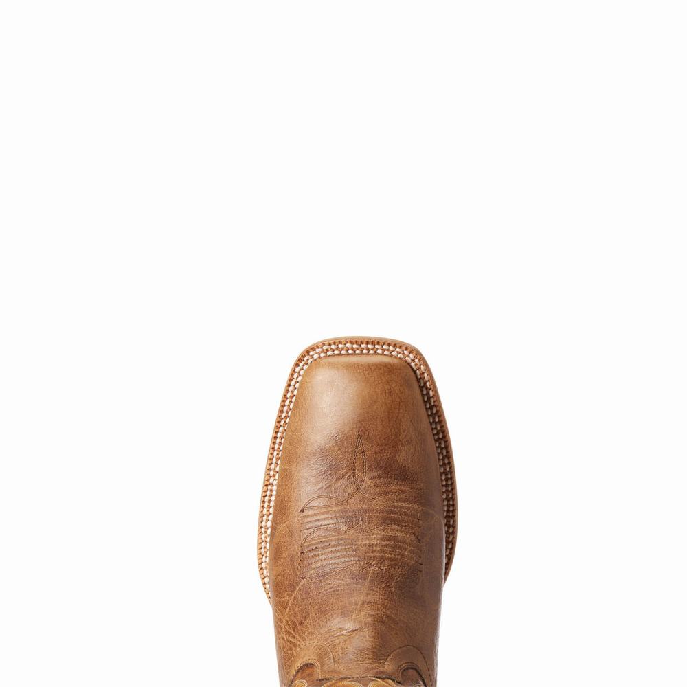 Ariat Toledo Western Stövlar Herr Beige | 608-VQRYWC