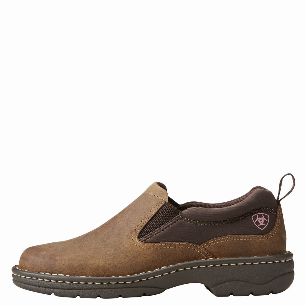 Ariat Traverse Sneakers Dam Bruna | 905-CZMJLR