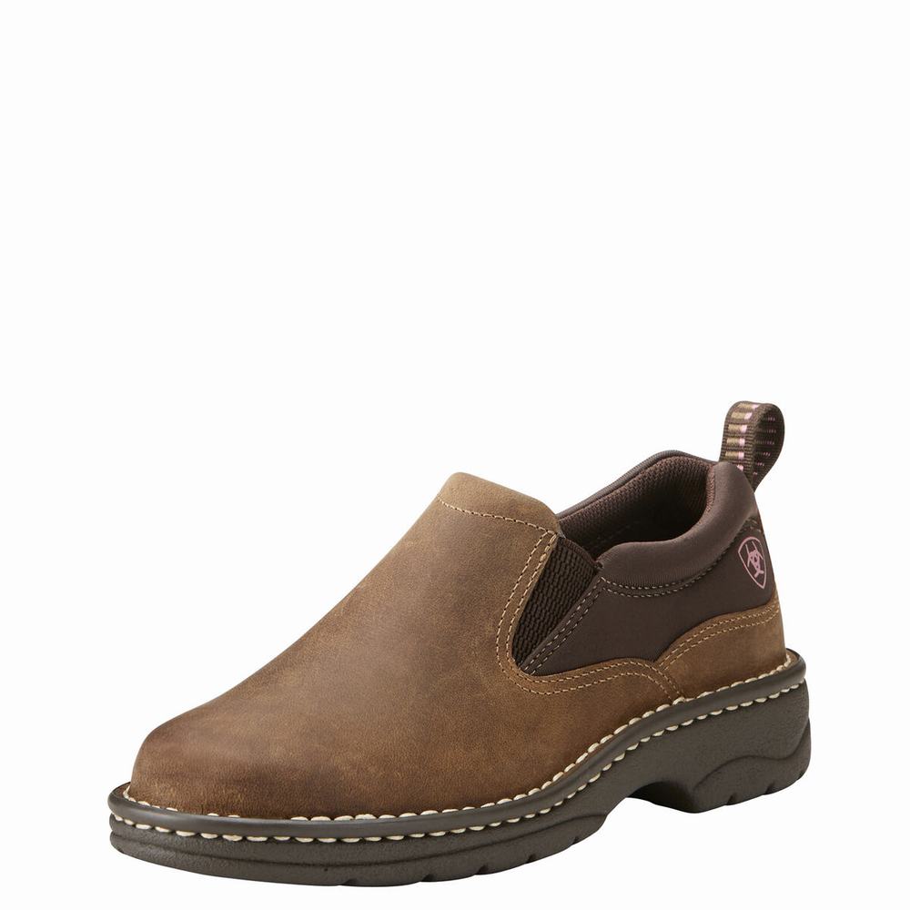 Ariat Traverse Sneakers Dam Bruna | 905-CZMJLR