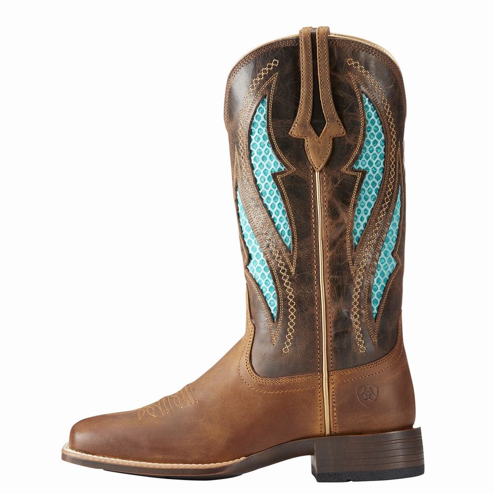 Ariat VentTEK Ultra Western Stövlar Dam Bruna | 907-TXNMID