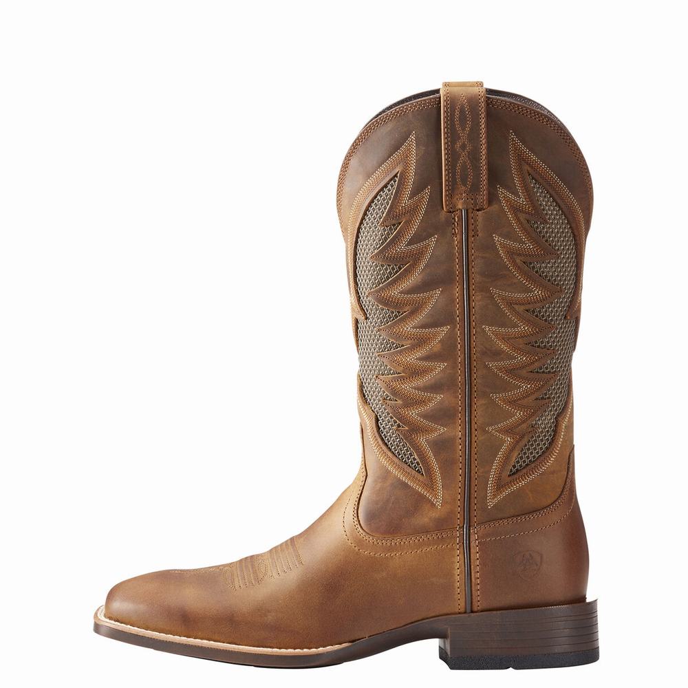 Ariat VentTEK Ultra Western Stövlar Herr Bruna | 739-GLTRBY