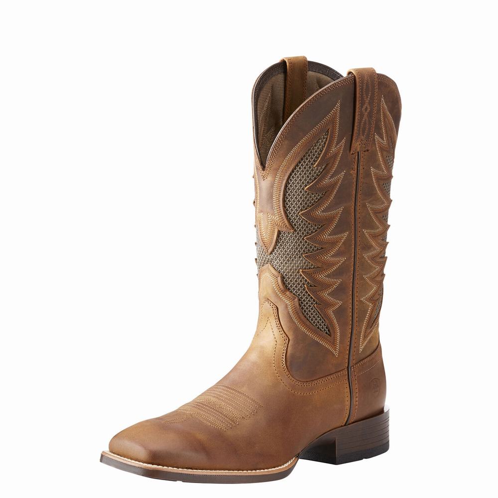 Ariat VentTEK Ultra Western Stövlar Herr Bruna | 739-GLTRBY