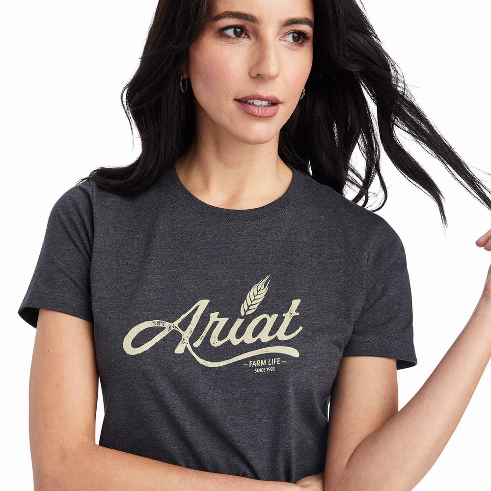 Ariat Wheat Script Blast Dam Grå | 051-IZMESQ