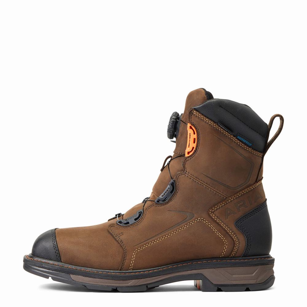 Ariat WorkHog XT 8