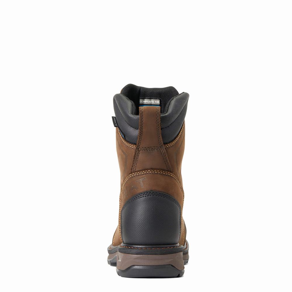 Ariat WorkHog XT 8