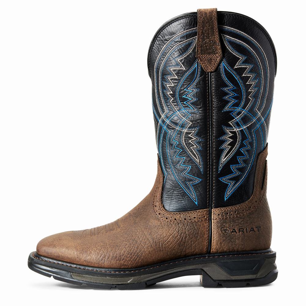 Ariat WorkHog XT Coil Arbetskängor Herr Olika Färger | 148-QLUFJN