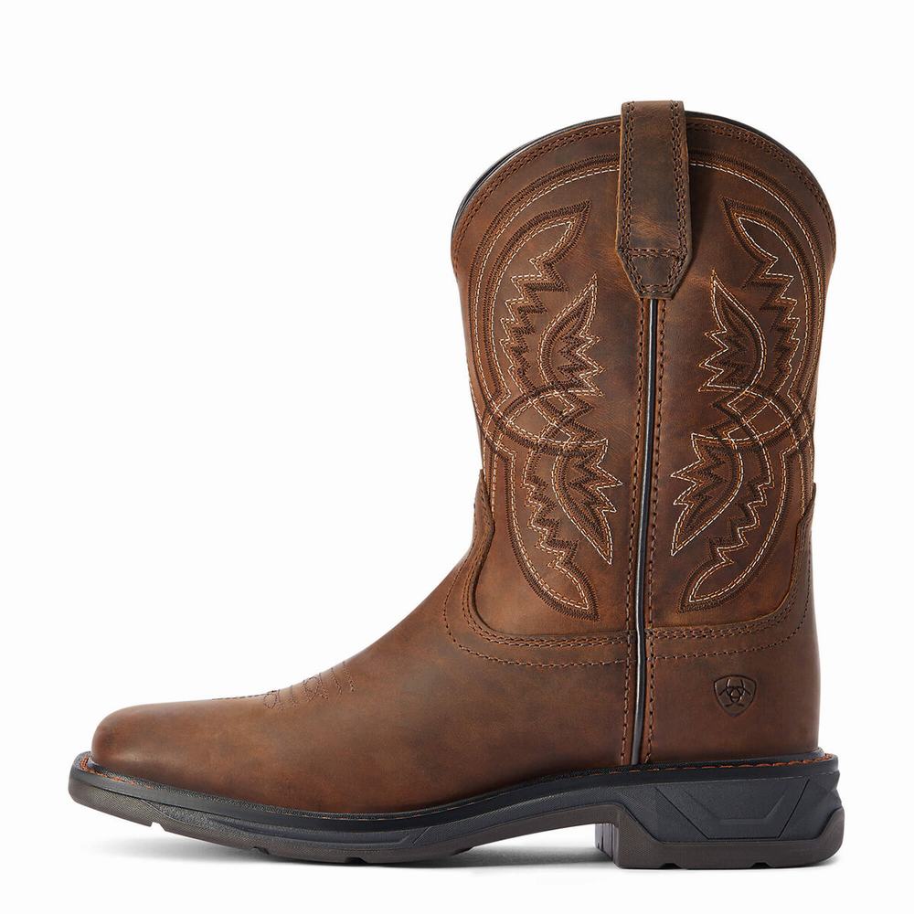 Ariat WorkHog XT Coil Western Stövlar Barn Olika Färger | 498-PXWCLH