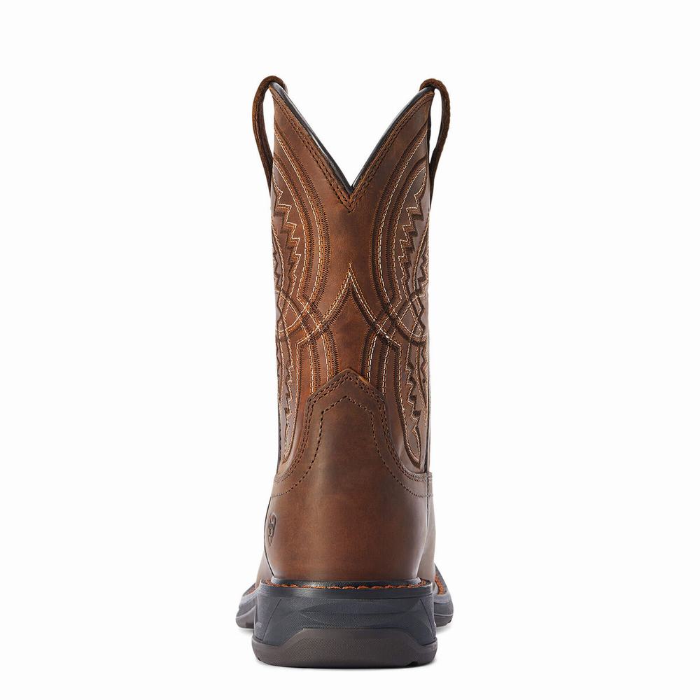 Ariat WorkHog XT Coil Western Stövlar Barn Olika Färger | 498-PXWCLH