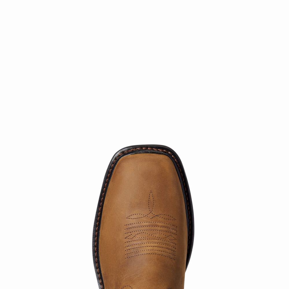 Ariat WorkHog XT Cottonwood Arbetskängor Herr Olika Färger | 035-UMHXPC