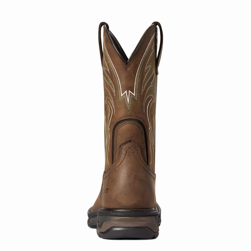 Ariat WorkHog XT Cottonwood Arbetskängor Herr Bruna | 047-TJALXE