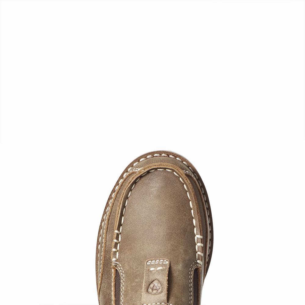 Ariat Youth Cruiser Casual Skor Barn Bruna | 574-QHGEUO